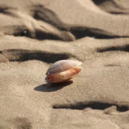 Orbisa I Séjour chez l'habitant