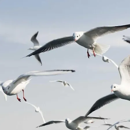 Séjour chez l'habitant Orbisa I *