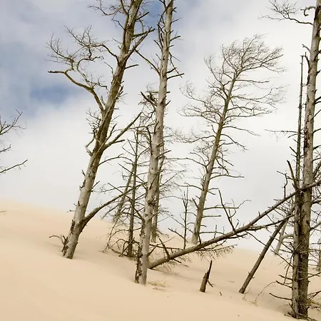 Orbisa I בית אירוח *