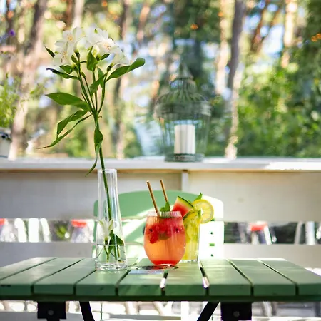 Orbisa I בית אירוח